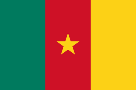 Kamerun Fahne